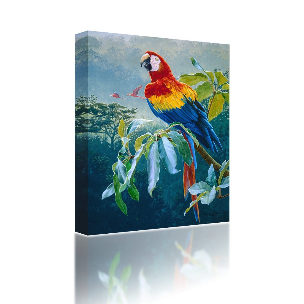 Parrot on a Branch – PA Sound Art